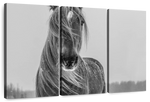 Winter Horse Wall Art