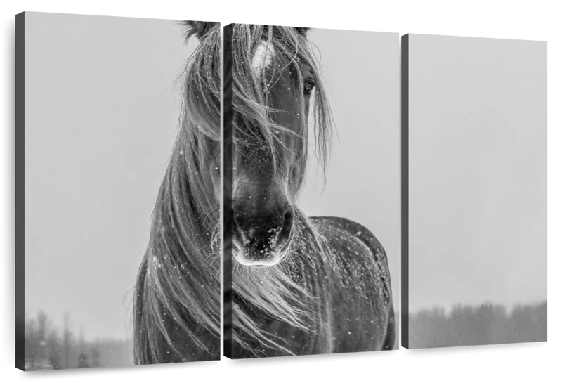 Winter Horse Wall Art