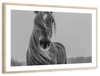 Winter Horse Wall Art