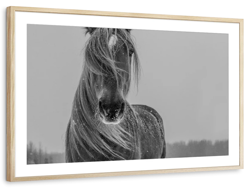 Winter Horse Wall Art