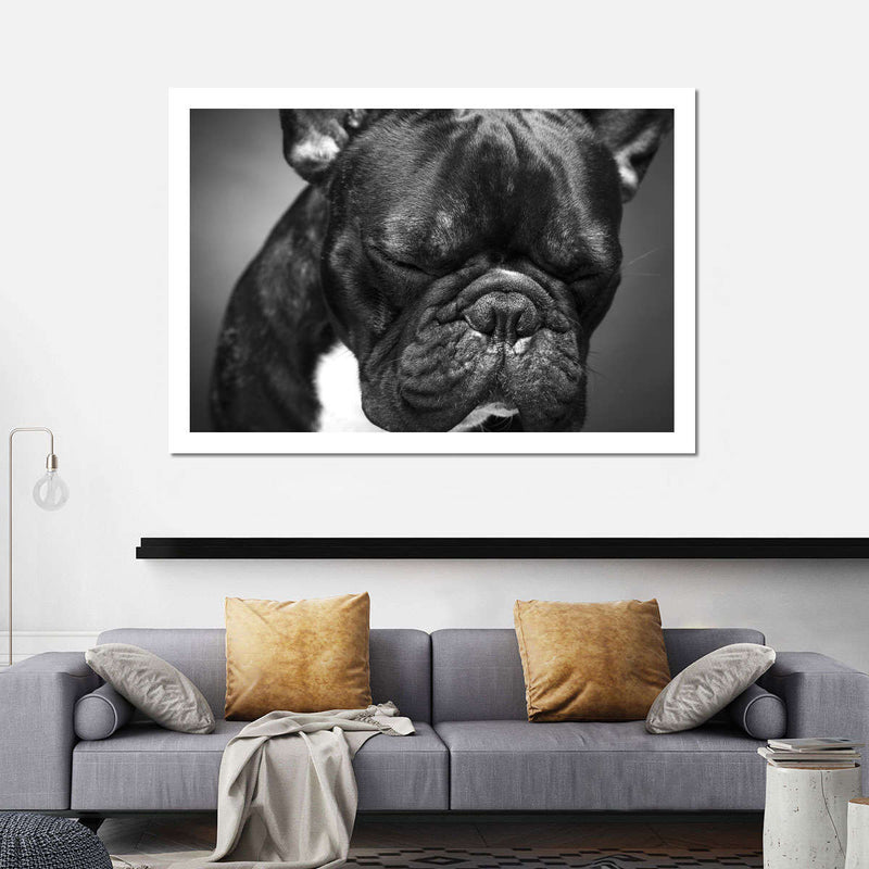Melancholic French Bulldog Wall Art