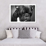 Melancholic French Bulldog Wall Art
