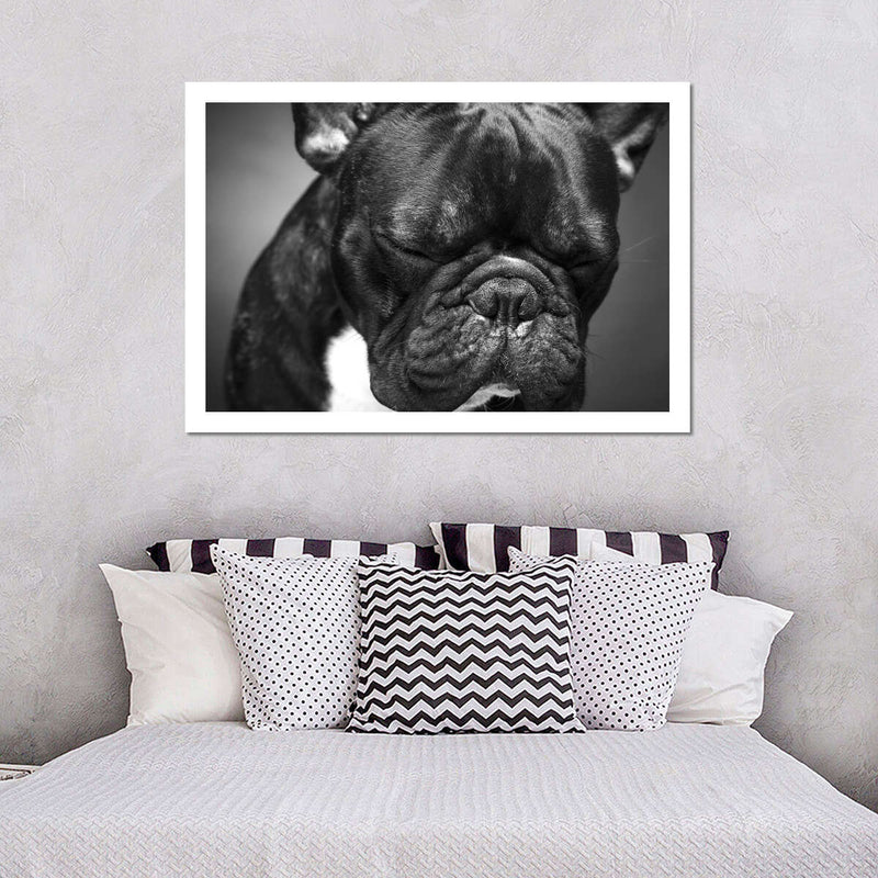 Melancholic French Bulldog Wall Art