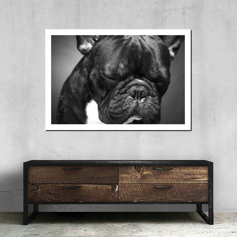 Melancholic French Bulldog Wall Art