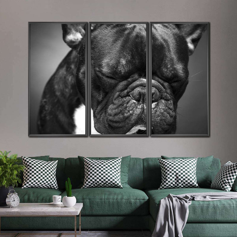 Melancholic French Bulldog Wall Art