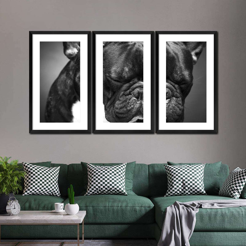 Melancholic French Bulldog Wall Art