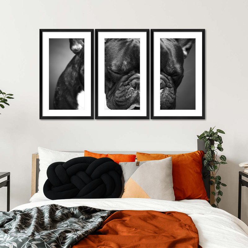 Melancholic French Bulldog Wall Art