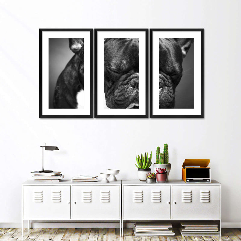 Melancholic French Bulldog Wall Art
