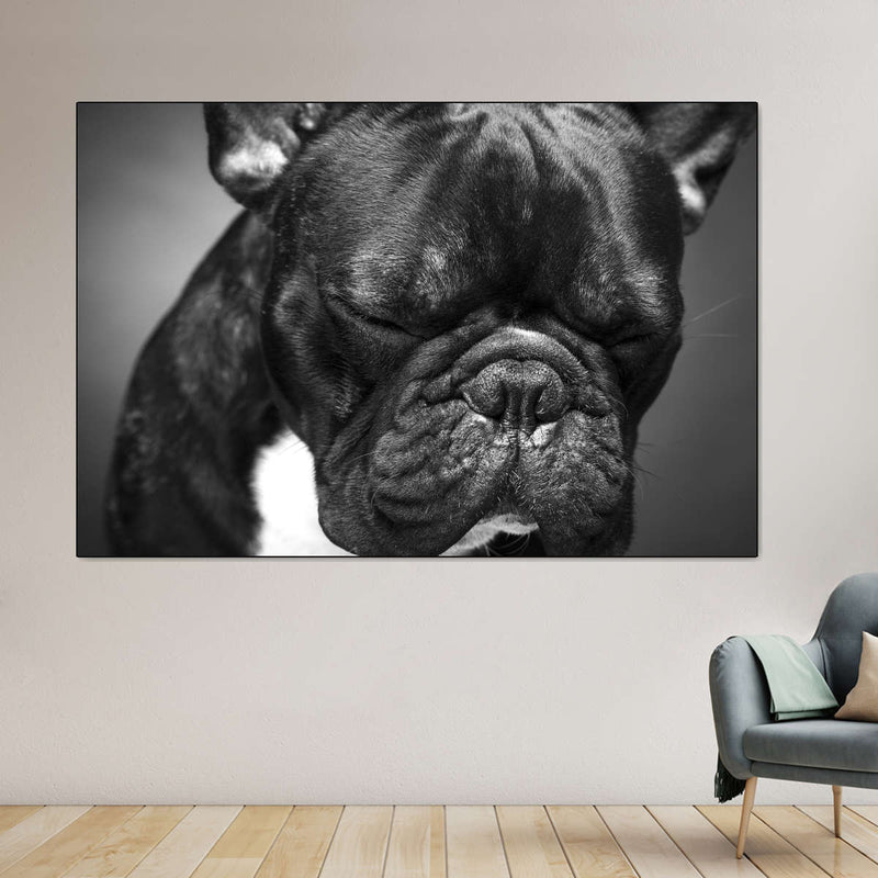 Melancholic French Bulldog Wall Art