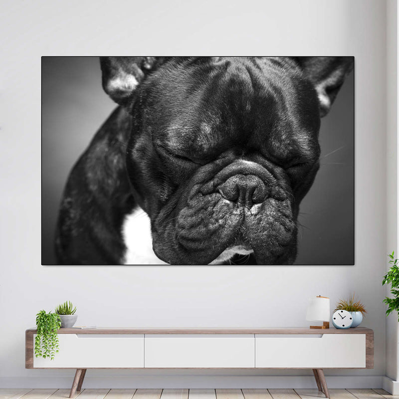 Melancholic French Bulldog Wall Art