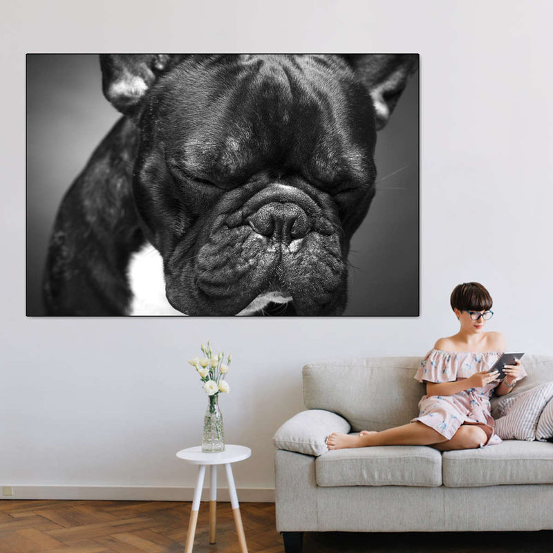 Melancholic French Bulldog Wall Art