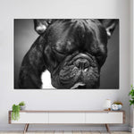 Melancholic French Bulldog Wall Art