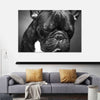 Melancholic French Bulldog Wall Art