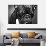 Melancholic French Bulldog Wall Art