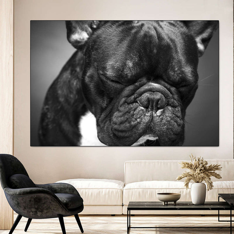 Melancholic French Bulldog Wall Art