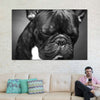 Melancholic French Bulldog Wall Art