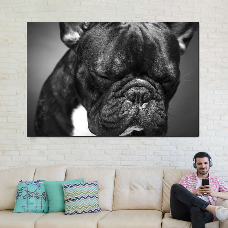 Melancholic French Bulldog Wall Art