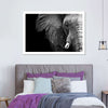 Wise Elephant Wall Art