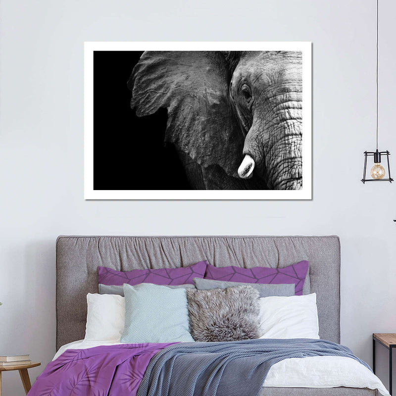 Wise Elephant Wall Art