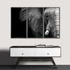 Wise Elephant Wall Art