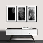 Wise Elephant Wall Art