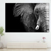 Wise Elephant Wall Art