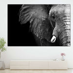 Wise Elephant Wall Art