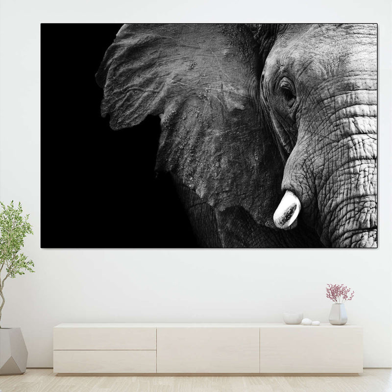 Wise Elephant Wall Art