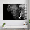 Wise Elephant Wall Art