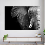 Wise Elephant Wall Art