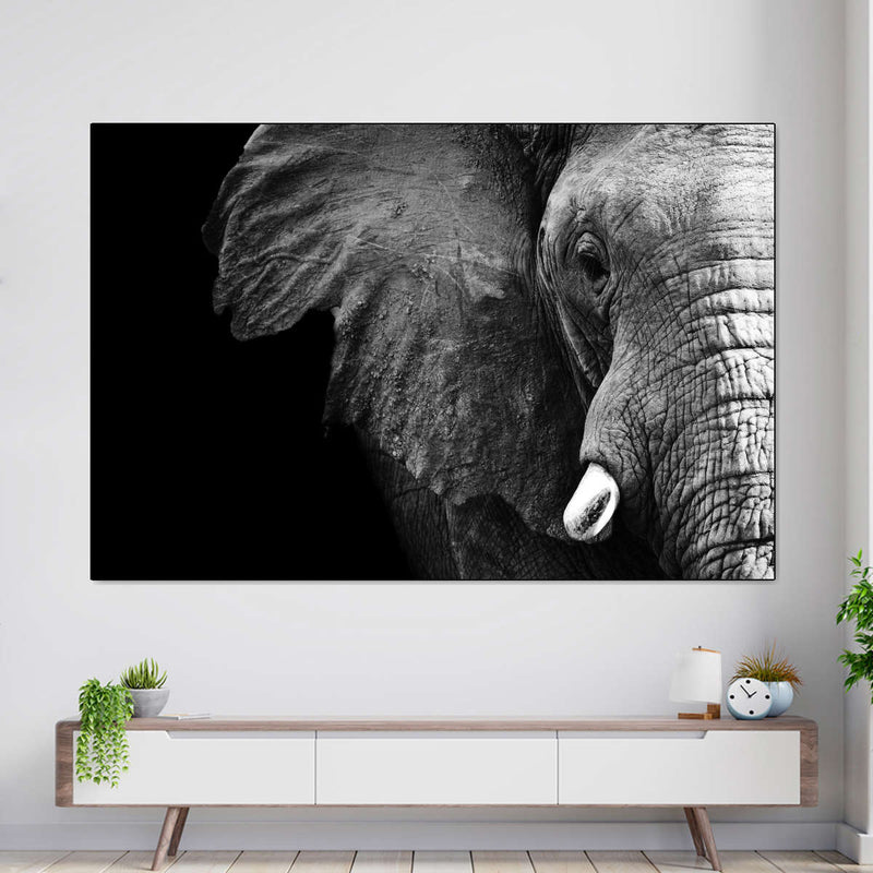 Wise Elephant Wall Art