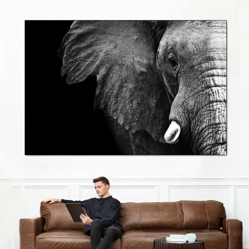 Wise Elephant Wall Art