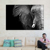 Wise Elephant Wall Art