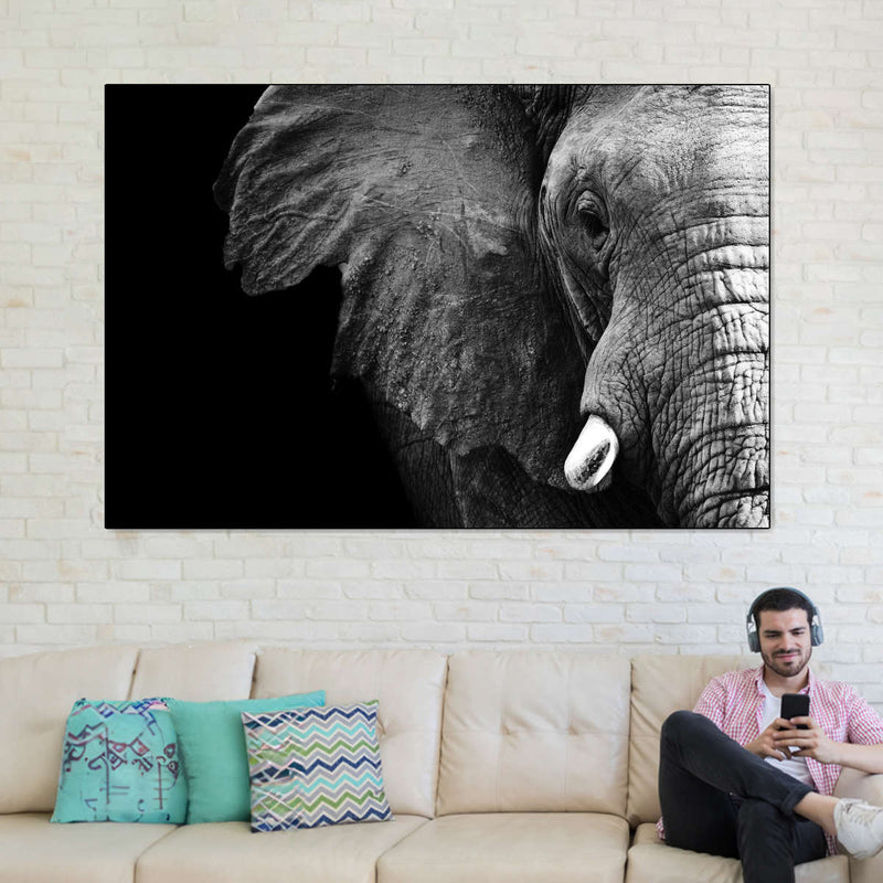 Wise Elephant Wall Art