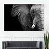 Wise Elephant Wall Art