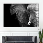 Wise Elephant Wall Art