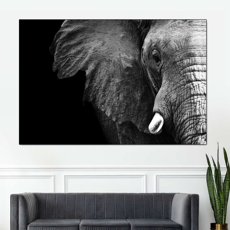 Wise Elephant Wall Art