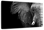 Wise Elephant Wall Art
