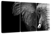 Wise Elephant Wall Art