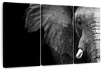 Wise Elephant Wall Art