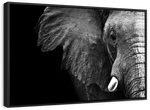 Wise Elephant Wall Art