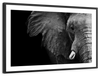 Wise Elephant Wall Art