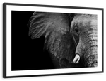 Wise Elephant Wall Art