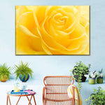 Yellow Rose Petals Wall Art