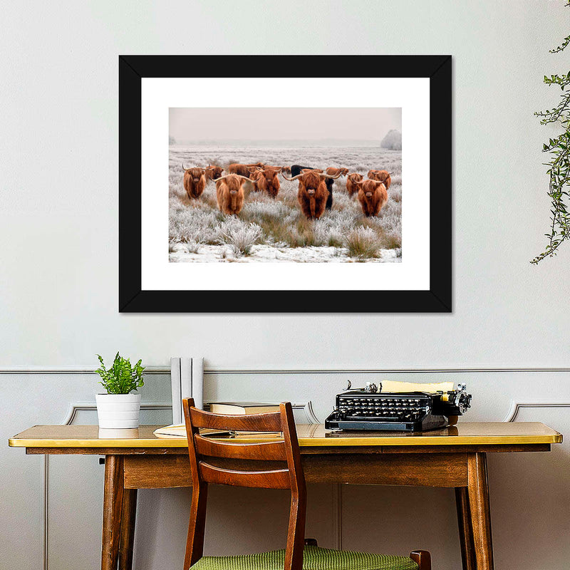Winter Highland Cows Wall Art