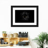 Rare Black Panther Wall Art