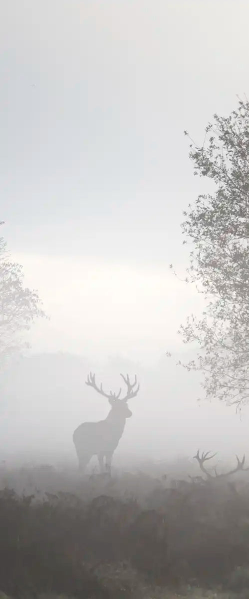 Hunting at Dusk Wall Art