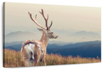 Mountain Sika Deer Wall Art