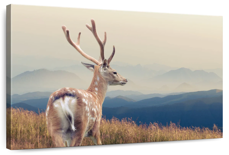 Mountain Sika Deer Wall Art
