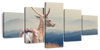 Mountain Sika Deer Wall Art